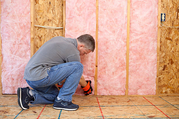 Best Blown-In Insulation  in Gorman, NC